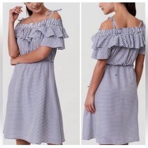 Ann Taylor LOFT Striped Blue and White Dress